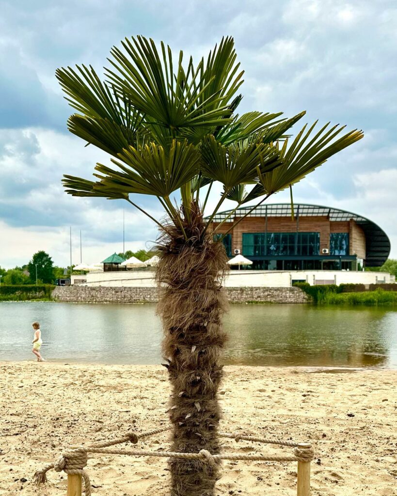 Palma, plaża Wyspa Wisła na wesele